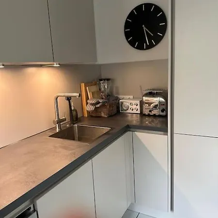 Ruhige Stadtperle Mit Garten Apartament Wiesbaden